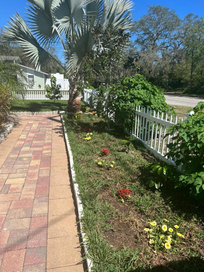 Caribbean Splendor Vacation Rental Near Bush Gardens Tampa Fl Esterno foto