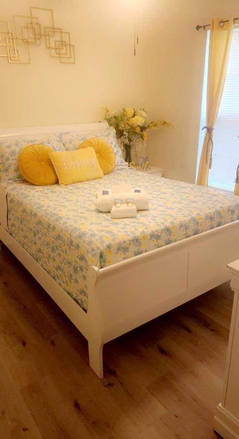 Caribbean Splendor Vacation Rental Near Bush Gardens Tampa Fl Esterno foto