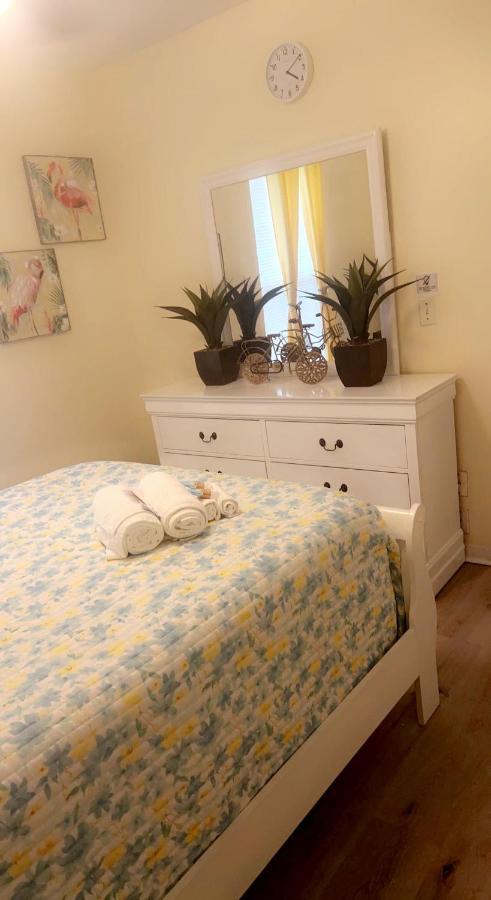 Caribbean Splendor Vacation Rental Near Bush Gardens Tampa Fl Esterno foto